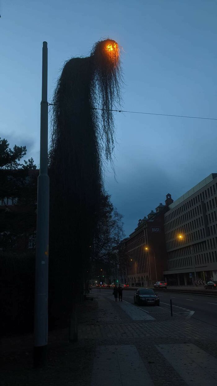 Welp, this street lamp looks absolutely terrifying.