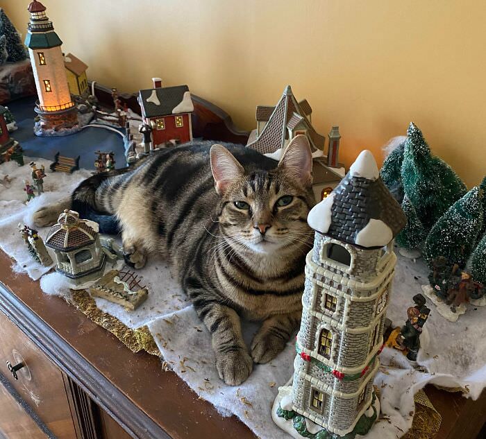 Our Christmas village has been invaded by the Jólakötturinn.