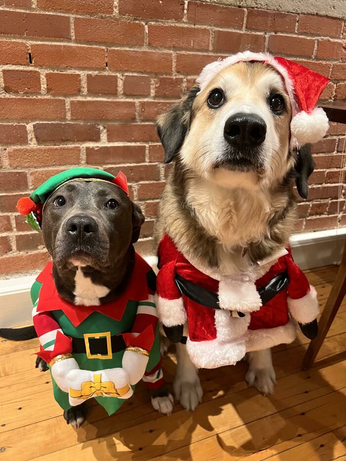 Our boys just can’t wait to spread Christmas cheer.
