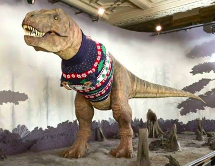 A giant Christmas sweater was created for the T-Rex at London's Natural History Museum this year.